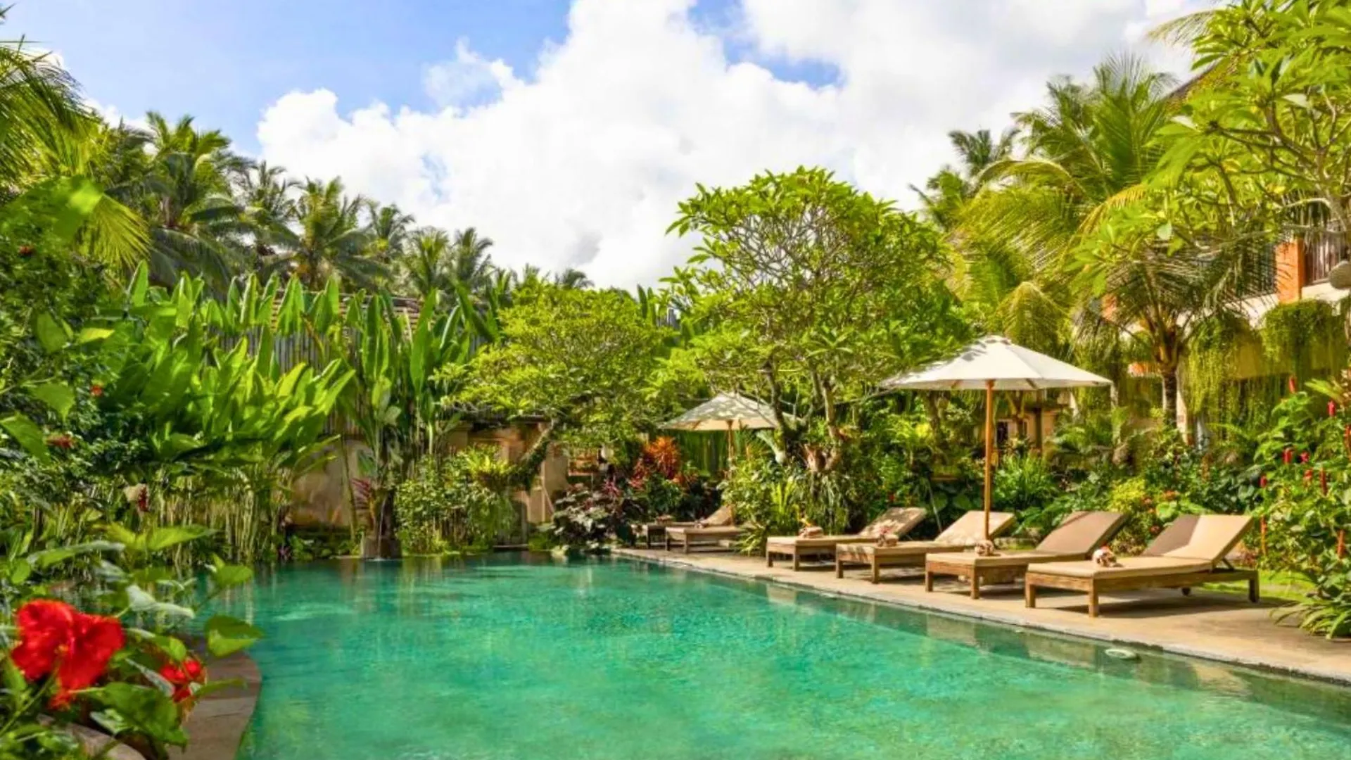 Apartment Arkadewi 1 Bedroom Deluxe Pool View Zn176 Ubud